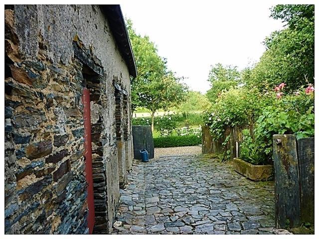 La Veillonnais Bed & Breakfast Angrie Exterior photo